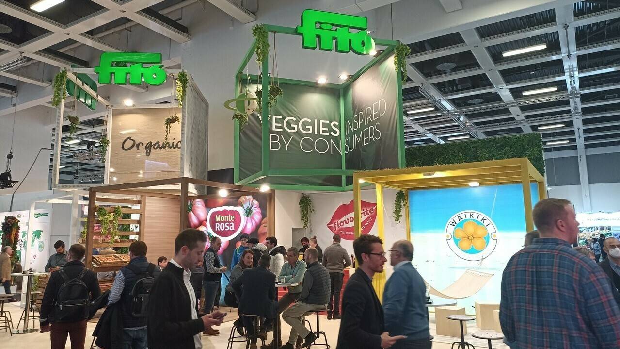 2.- Semillas Fito - FL 22 (8)|4.- Semillas Fito - FL 22 (4)|3.- Semillas Fito - FL 22 (1)